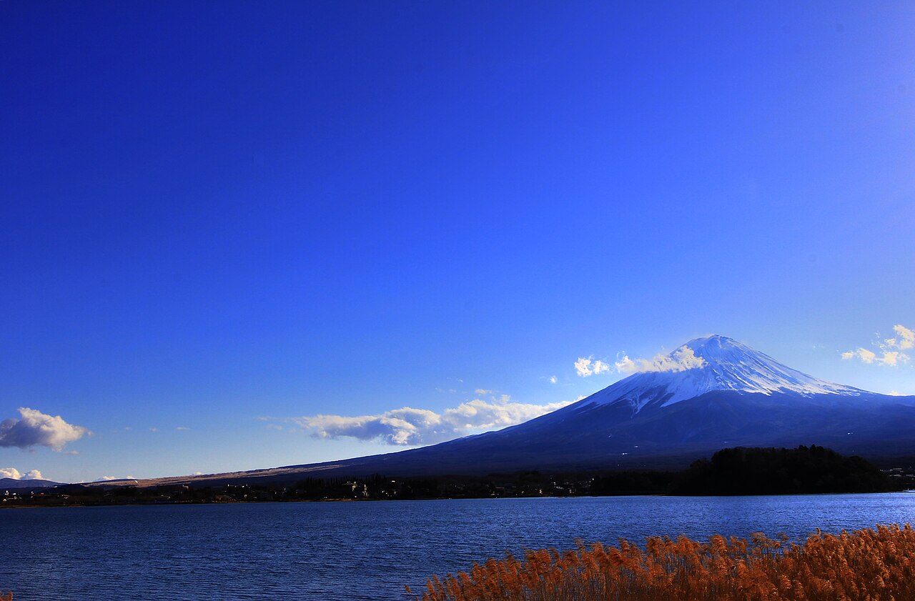 Ośnieżona Fuji nad ciemnoniebieskim jeziorem Kawaguchi, na pierwszym planie rude suche trzciny brzegu w Oishi; 11 stycznia 2014, czyste zimowe powietrze. Taki widok nie jest gwarantowany.